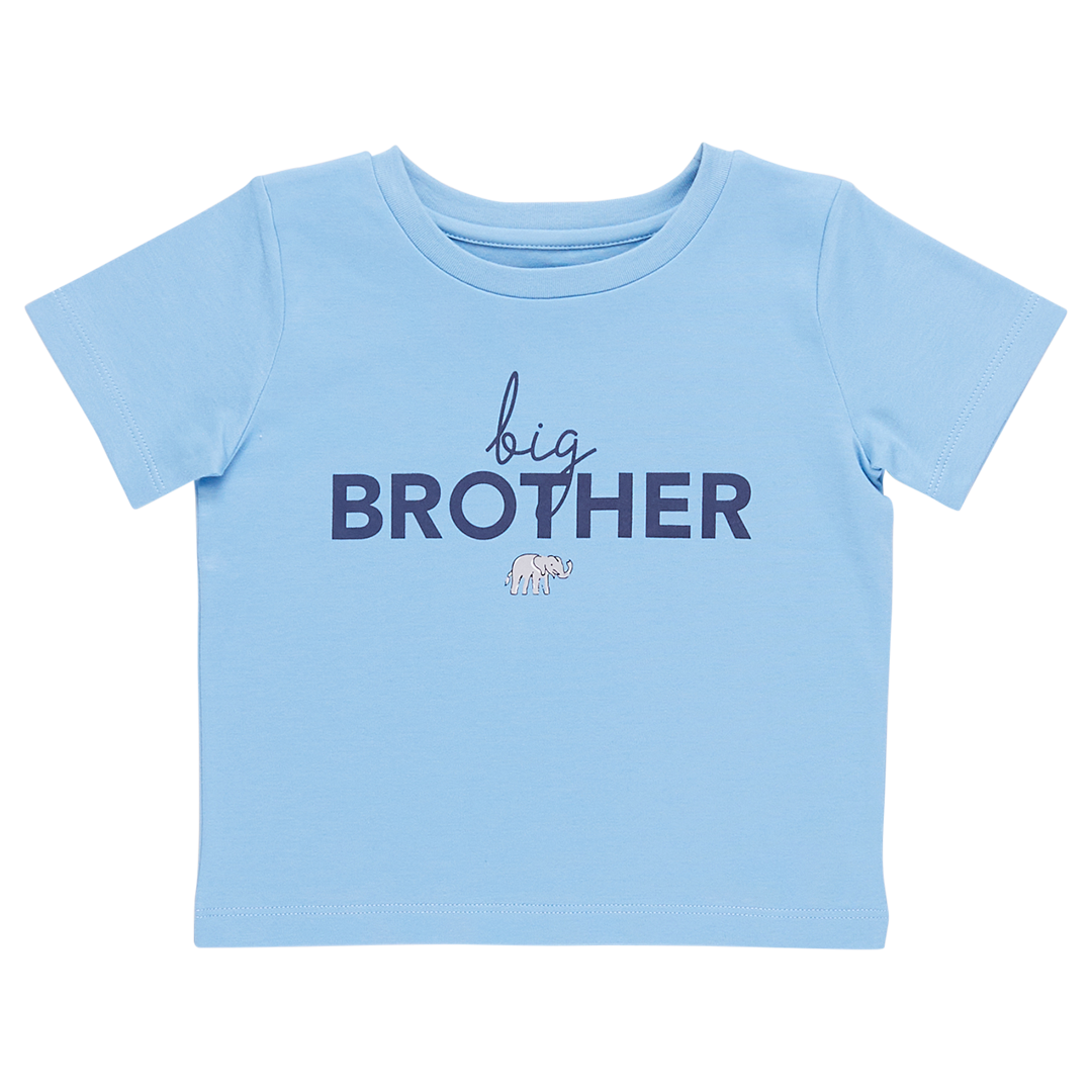 Boys Graphic Tee Big Brother Pink Chicken