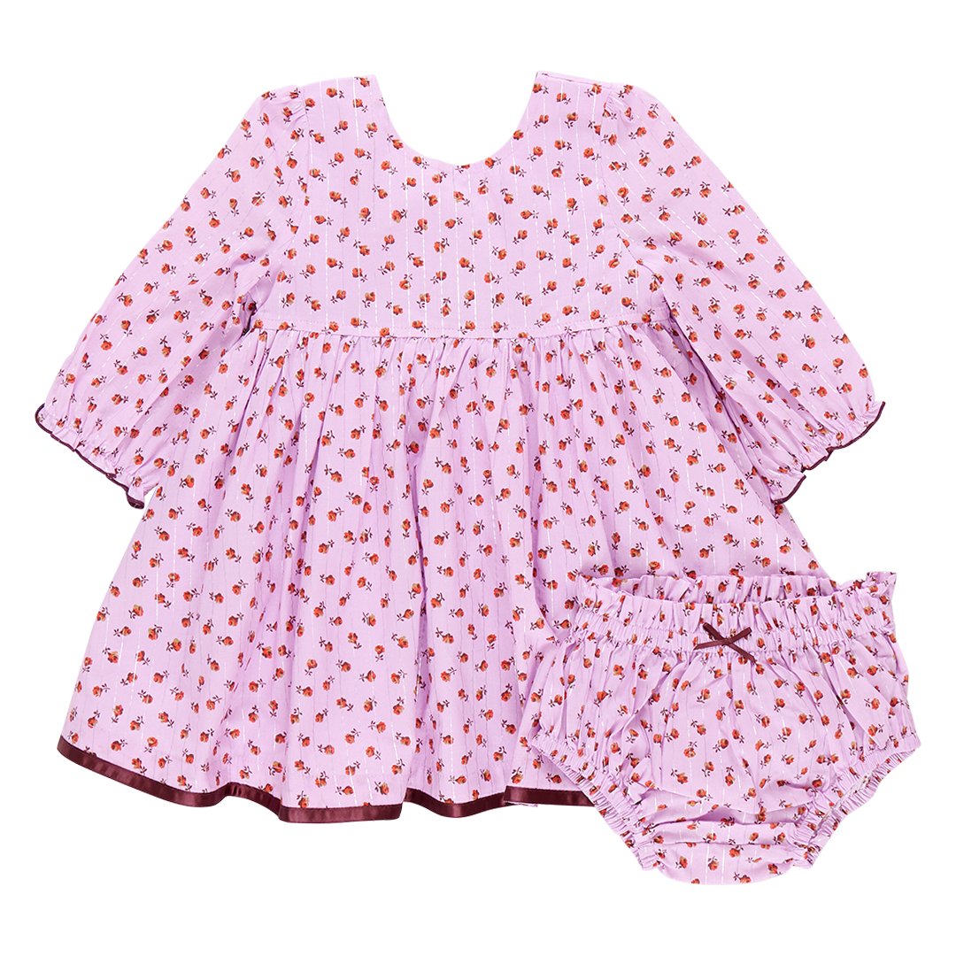 Pink Chicken Painted factory Apple Dress