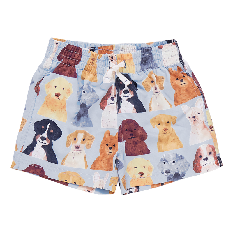 Baby Boys Swim Trunk - Light Blue Watercolor Dogs