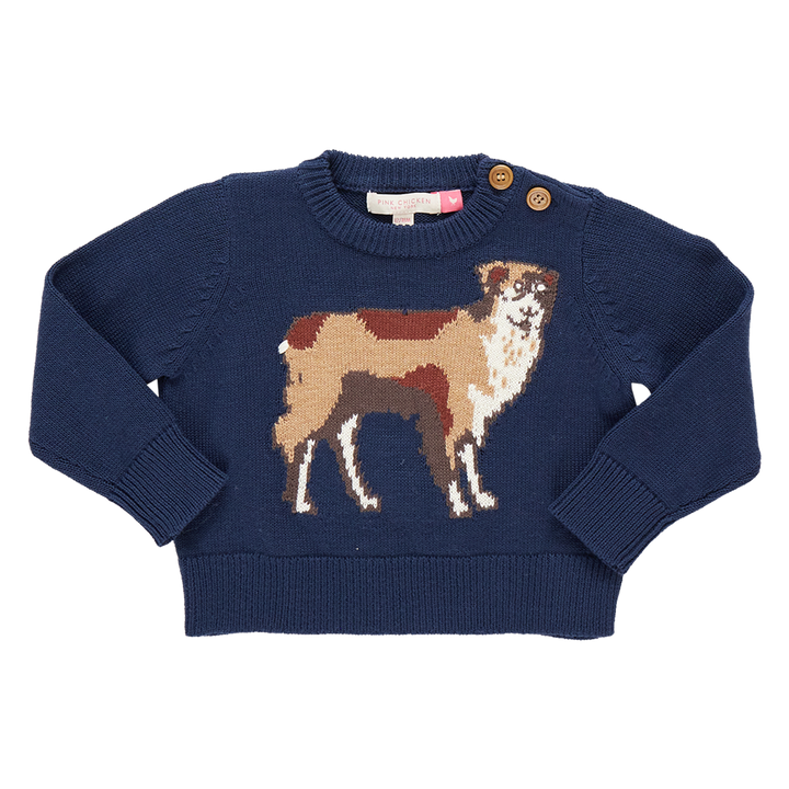 Baby Boys Oliver Sweater - Happy Dog