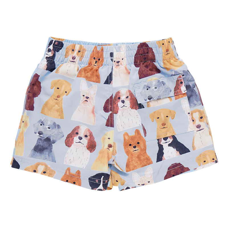 Baby Boys Swim Trunk - Light Blue Watercolor Dogs