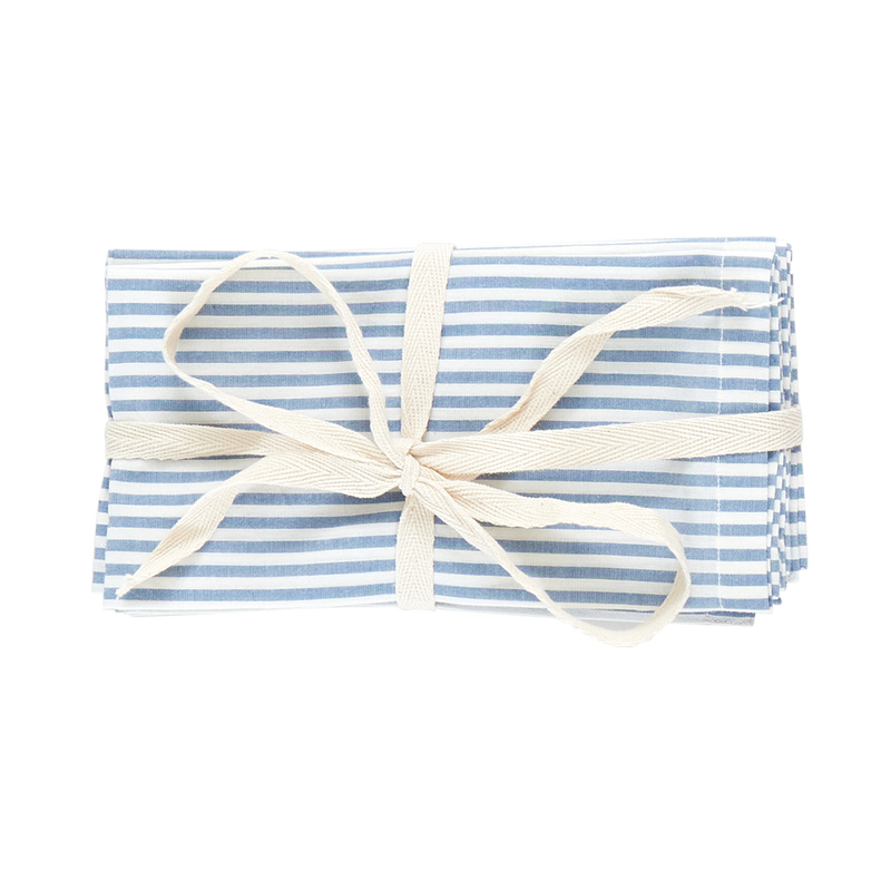 4-Pack Napkin Set - Blue Skinny Stripes