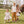 Baby Girls Julia Dress Set - Tiny Horses