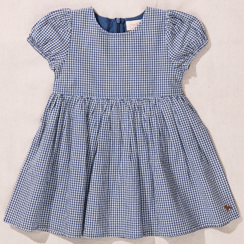 cl-navy-gingham